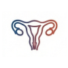 Gynecological Cancer
